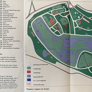 Zoo Map - undated