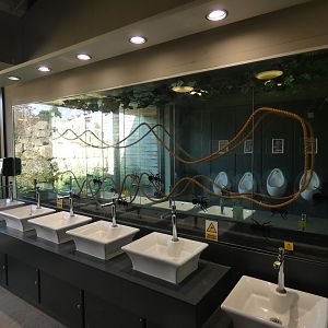 Leaf-cutter ant enclosure