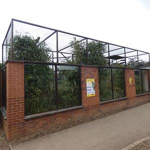 Ecuadorian amazon enclosure