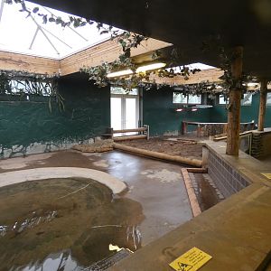 Aldabra giant tortoise indoor enclosure