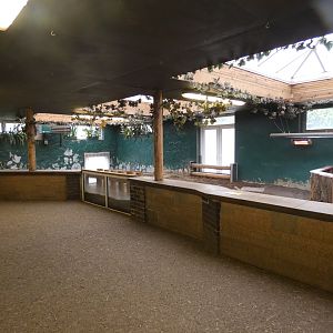 Aldabra giant tortoise indoor enclosure viewing area