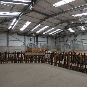 View in giraffe house