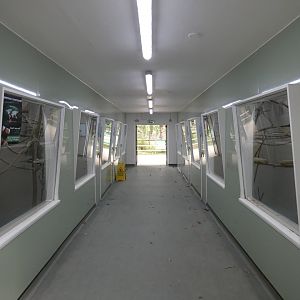 Marmoset and Tamarin house