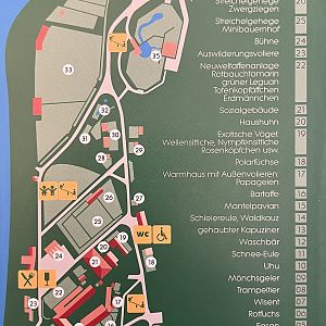 Tiergarten Stendal Map - undated