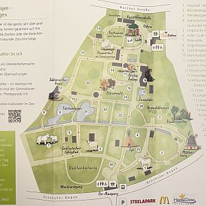 Zoo Map - 2019