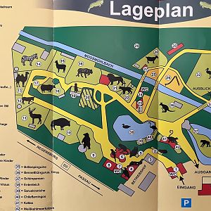 Zoo Map - 2017