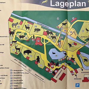 Zoo Map - 2017