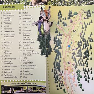 Zoo Map - undated