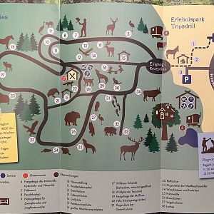 Zoo Map - 2016