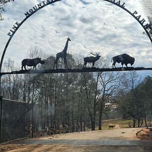 Pine Mountain Safari - Safari entrance