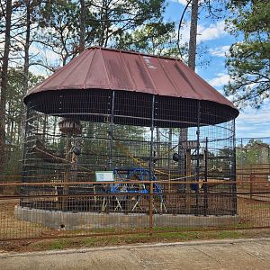 Pine Mountain Safari - Coati enclosure