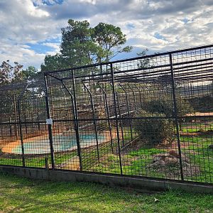 Pine Mountain Safari - Tiger exhibit row