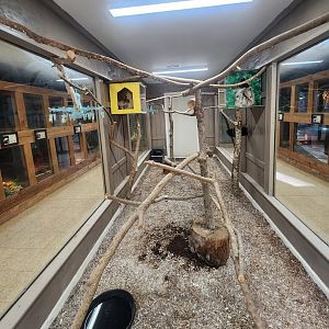 Pine Mountain Safari - Sloth enclosure