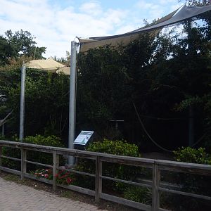 World of Reptiles and Friends - Indian Peafowl (Pavo cristatus) Exhibit