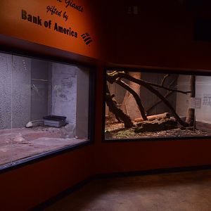 World of Reptiles and Friends - Unfinished Exhibits