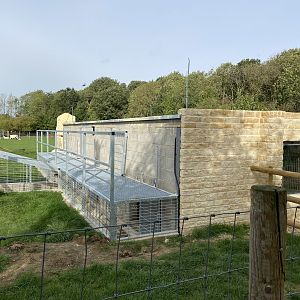 Lion house rear / run, Johnsons of Oldhurst, UK