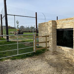 Lion house to enclosure, Johnsons of Oldhurst, UK