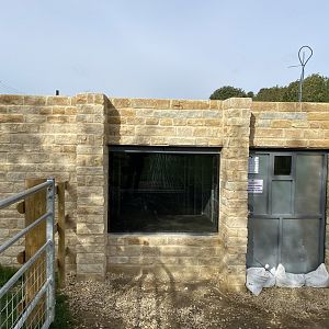 Lion house window, Johnsons of Oldhurst, UK
