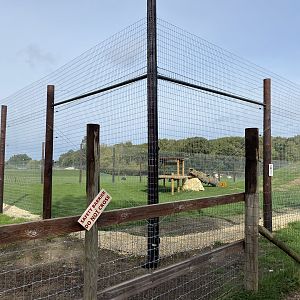 Lion enclosure, Johnsons of Oldhurst, UK