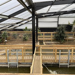 Alligator pools walkway, Johnsons of Oldhurst, UK