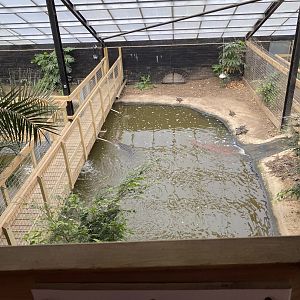 Alligator pools, Johnsons of Oldhurst, UK