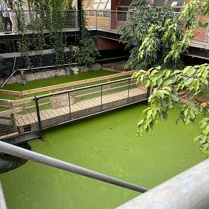 Saltwater crocodile pools, Johnsons of Oldhurst, UK