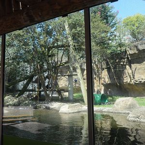 Trail of the Tiger - Gibbon/Otter Exhibt