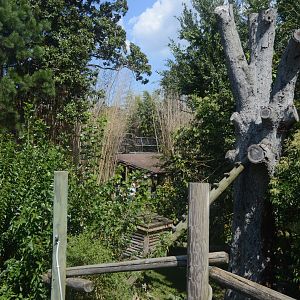 Trail of the Tiger - Landscape and Scenery