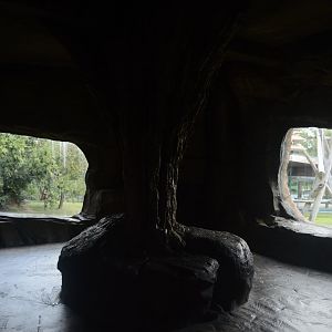 Trail of the Tiger - Viewing Cave