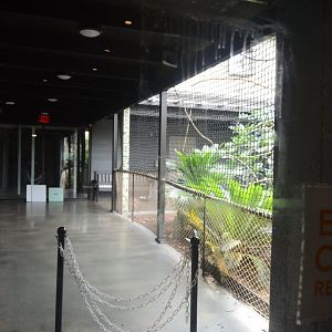 World of Reptiles and Friends - A look into the Closed Area