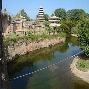 Trail of the Tiger - Siamang Exhibit and Transfer Rope