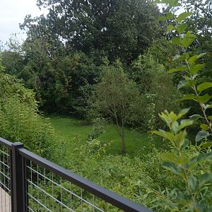 Trail of the Tiger - Undeveloped Area