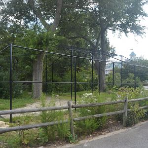 Future Cinereous Vulture (Aegypius monachus) Exhibit