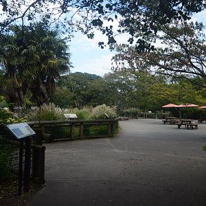Okavango Delta - Landscape and Scenery