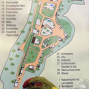 Heimatnaturgarten Weissenfels Map - undated