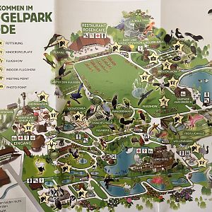 Zoo Map - 2019