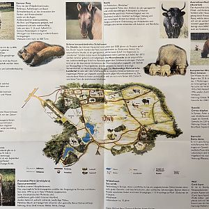 Schorfheide Wildlife Park - undated