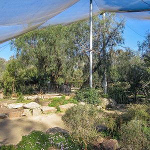 Free-flight Aviary interior