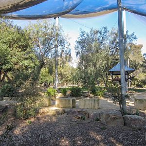 Free-flight Aviary interior