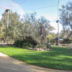 Free-flight Aviary interior
