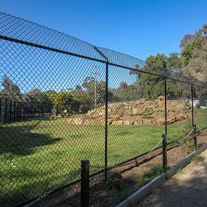 Dingo enclosure