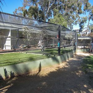 Newer Parrot aviaries