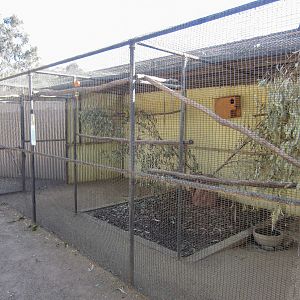 Older Parrot aviaries