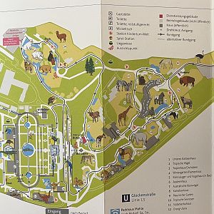 Zoo Map - 2017