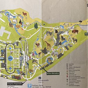 Zoo Map - 2015