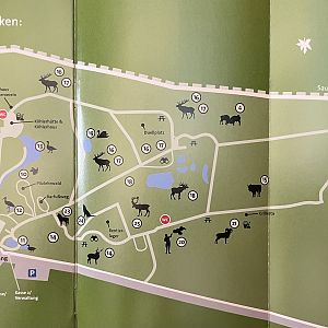 Zoo Map - 2020