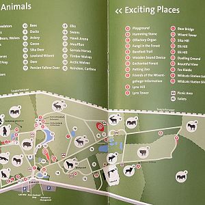 Zoo Map - 2016