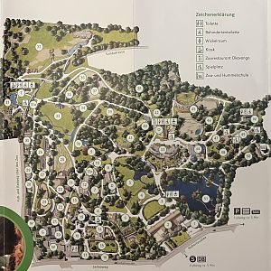Zoo Map - 2019