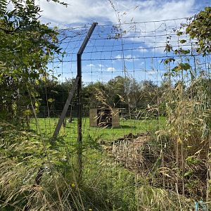 Cheetah enclosure, new shelters, Whipsnade, UK