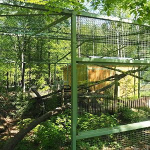 Fossa exhibit, 2023-05-19